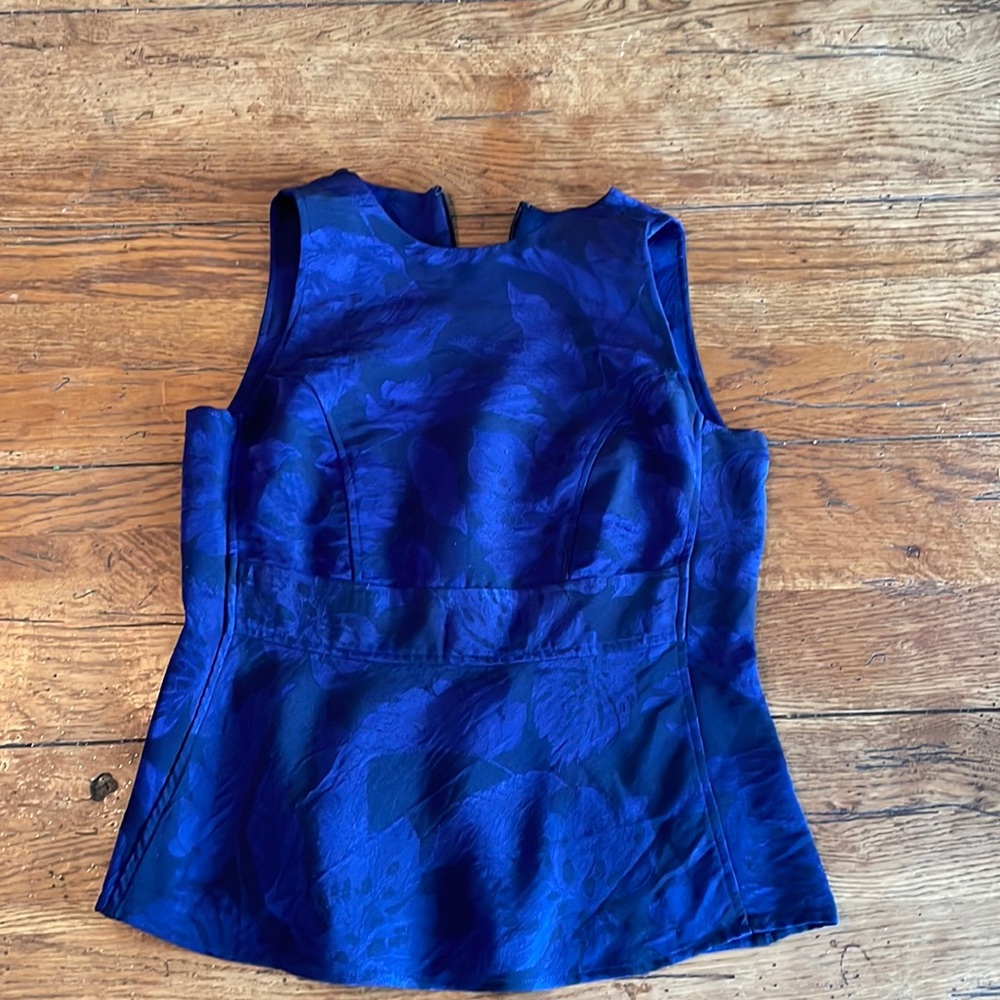 Blue Fitted blouse